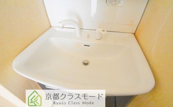 シャンプードレッサー