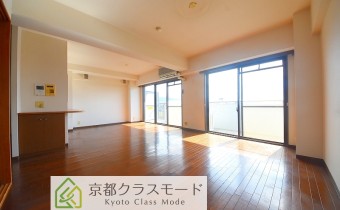 LDK19.5帖