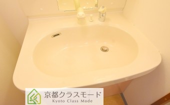 シャンプードレッサー