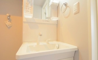 シャンプードレッサー