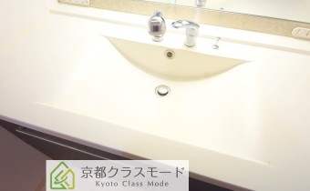 シャンプードレッサー