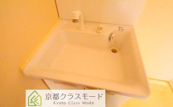 シャンプードレッサー