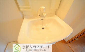 シャンプードレッサー