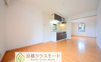 DK6.5帖・別アングル