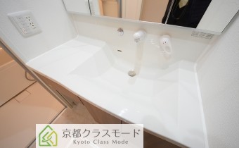シャンプードレッサー