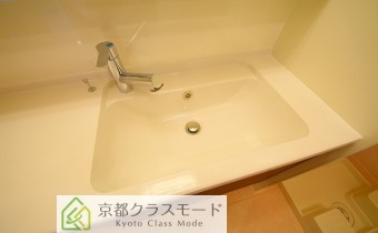 シャンプードレッサー