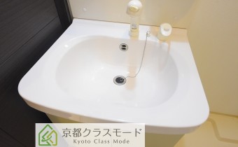 シャンプードレッサー