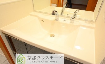 シャンプードレッサー