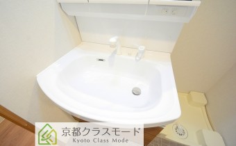 シャンプードレッサー