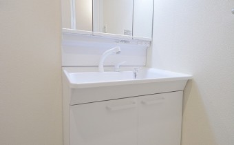 シャンプードレッサー