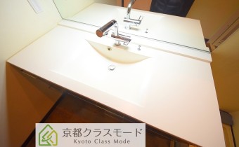 シャンプードレッサー