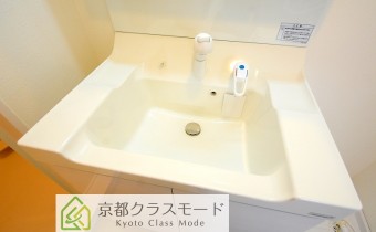 シャンプードレッサー