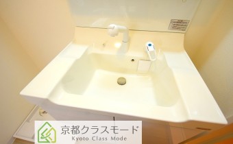 シャンプードレッサー