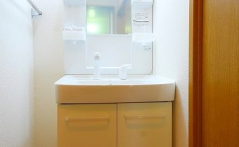 シャンプードレッサー