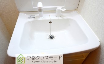 シャンプードレッサー
