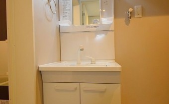 シャンプードレッサー