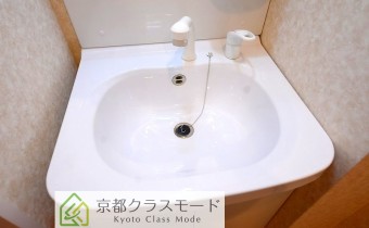 シャンプードレッサー