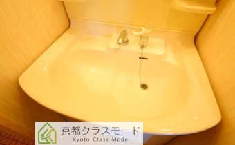 シャンプードレッサー