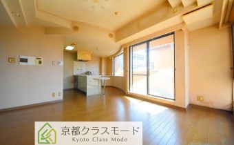 LDK 13　別アングル