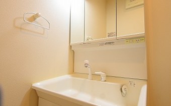 シャンプードレッサー　※写真は変転タイプです