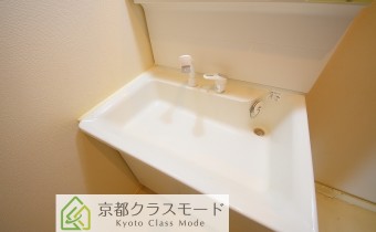 シャンプードレッサー　※写真は変転タイプです