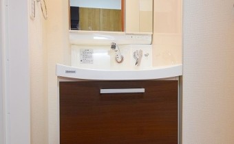 シャンプードレッサー