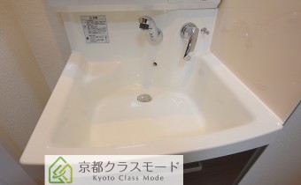 シャンプードレッサー