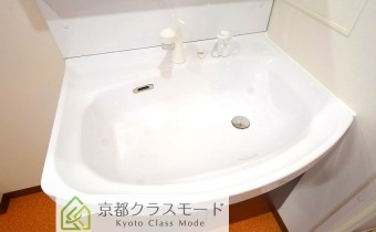 シャンプードレッサー