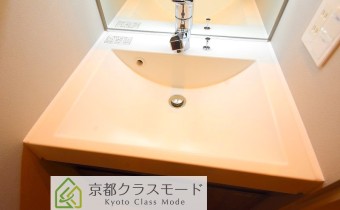シャンプードレッサー