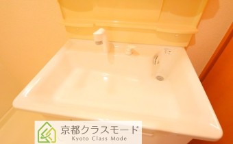 シャンプードレッサー