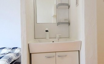 シャンプードレッサー