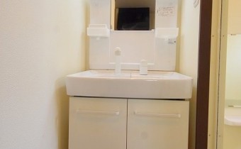 シャンプードレッサー