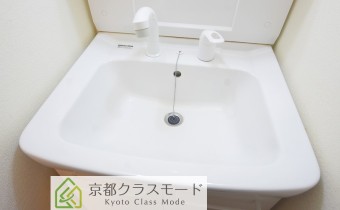 シャンプードレッサー