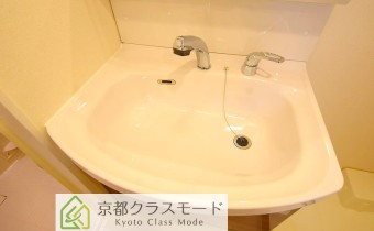 シャンプードレッサー