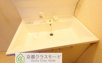 シャンプードレッサー