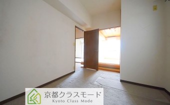 洋 5　別アングル