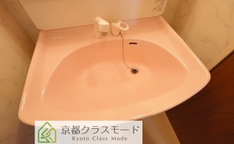 シャンプードレッサー
