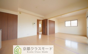 LDK10.5