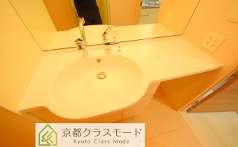シャンプードレッサー