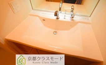 シャンプードレッサー