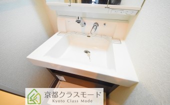 シャンプードレッサー