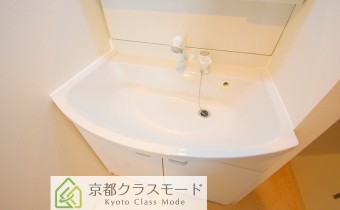 シャンプードレッサー