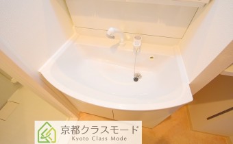 シャンプードレッサー