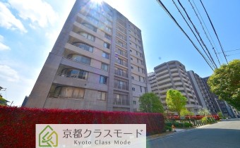 外観　別アングル