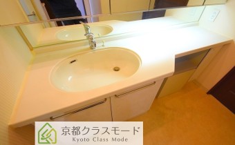 シャンプードレッサー