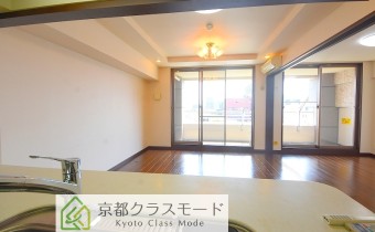 カウンターからみたLDK