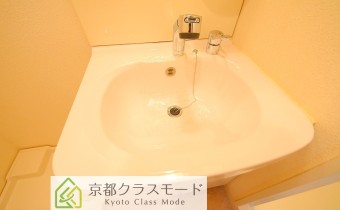 シャンプードレッサー