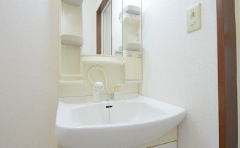 シャンプードレッサー