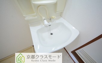 シャンプードレッサー