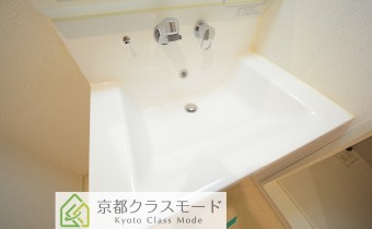 シャンプードレッサー